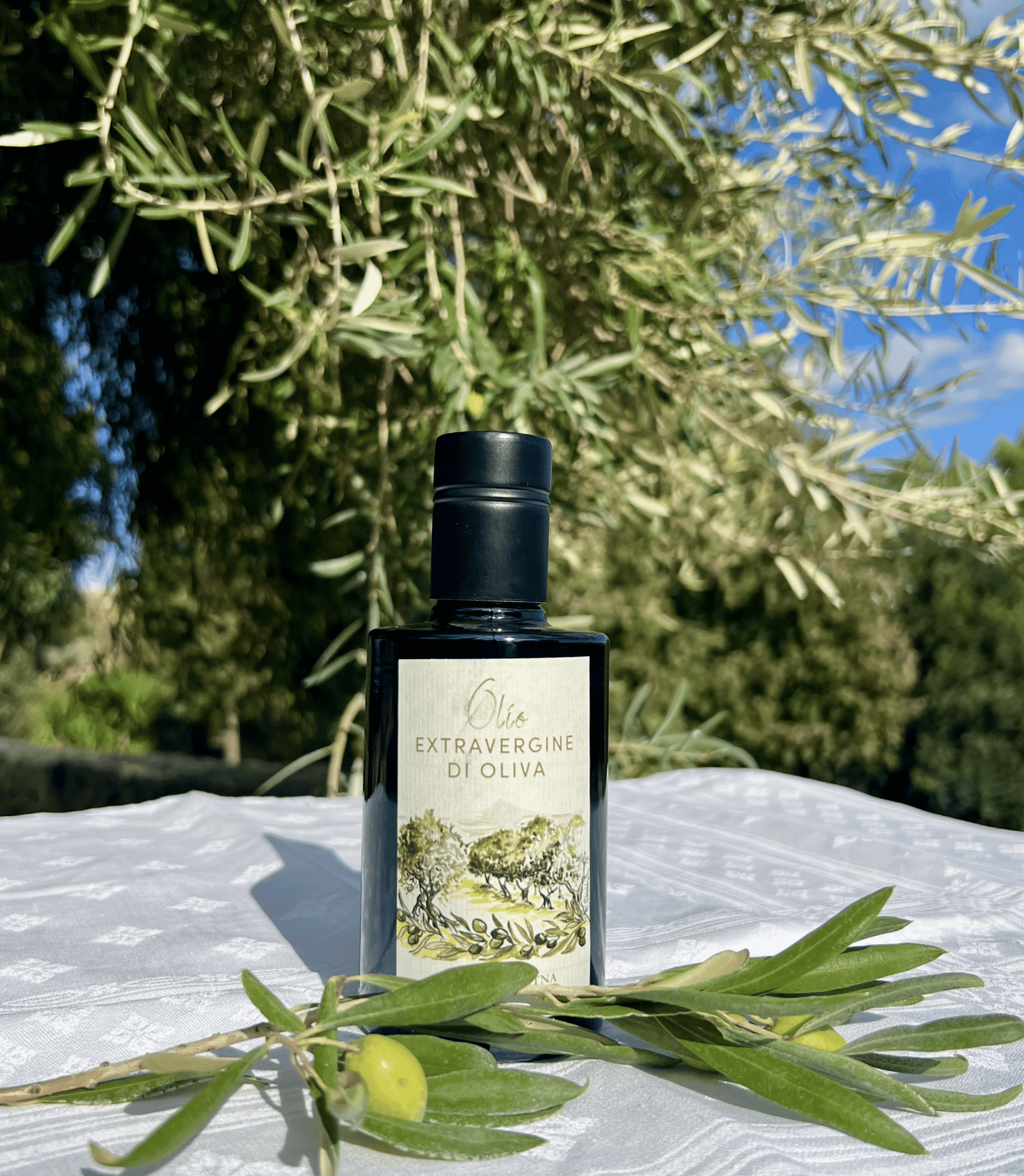 OLIO (14) Olio Extra Vergine di Oliva Nocellara dell'Etna 250ml - Raccolta 2025 - (Olio Nuovo) - immagine 1