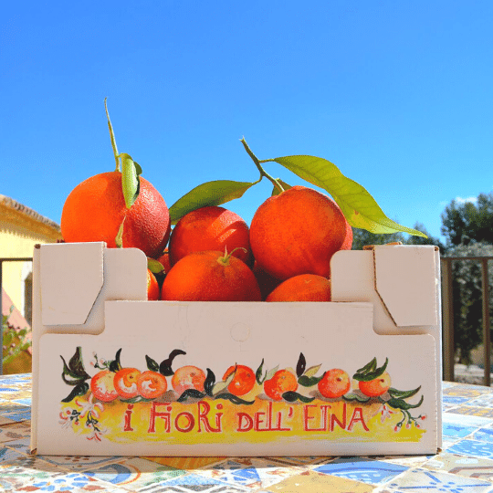 packaging_agrumi_di_sicilia packaging_agrumi_di_sicilia