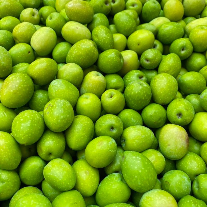 Progetto senza titolo 16 - I fiori dell'etna