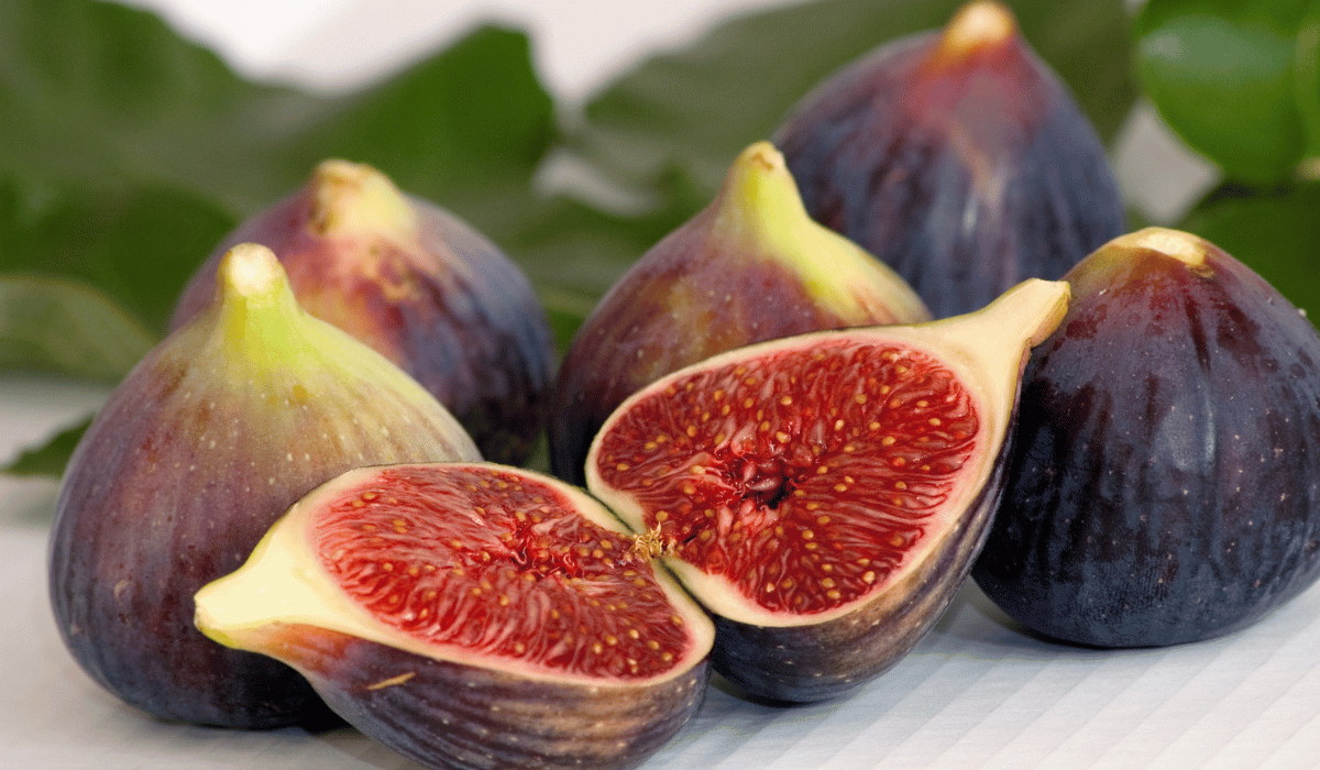 La Migliore Marmellata di Fichi: Come Prepararla a Casa Tua 3 marmellata di fichi - I fiori dell'etna