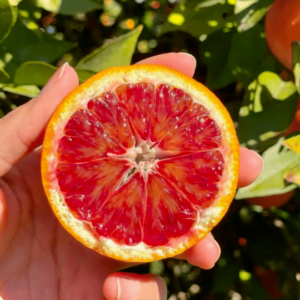 Perché le arance tarocco sono rosse? 2 polpa rossa arance tarocco