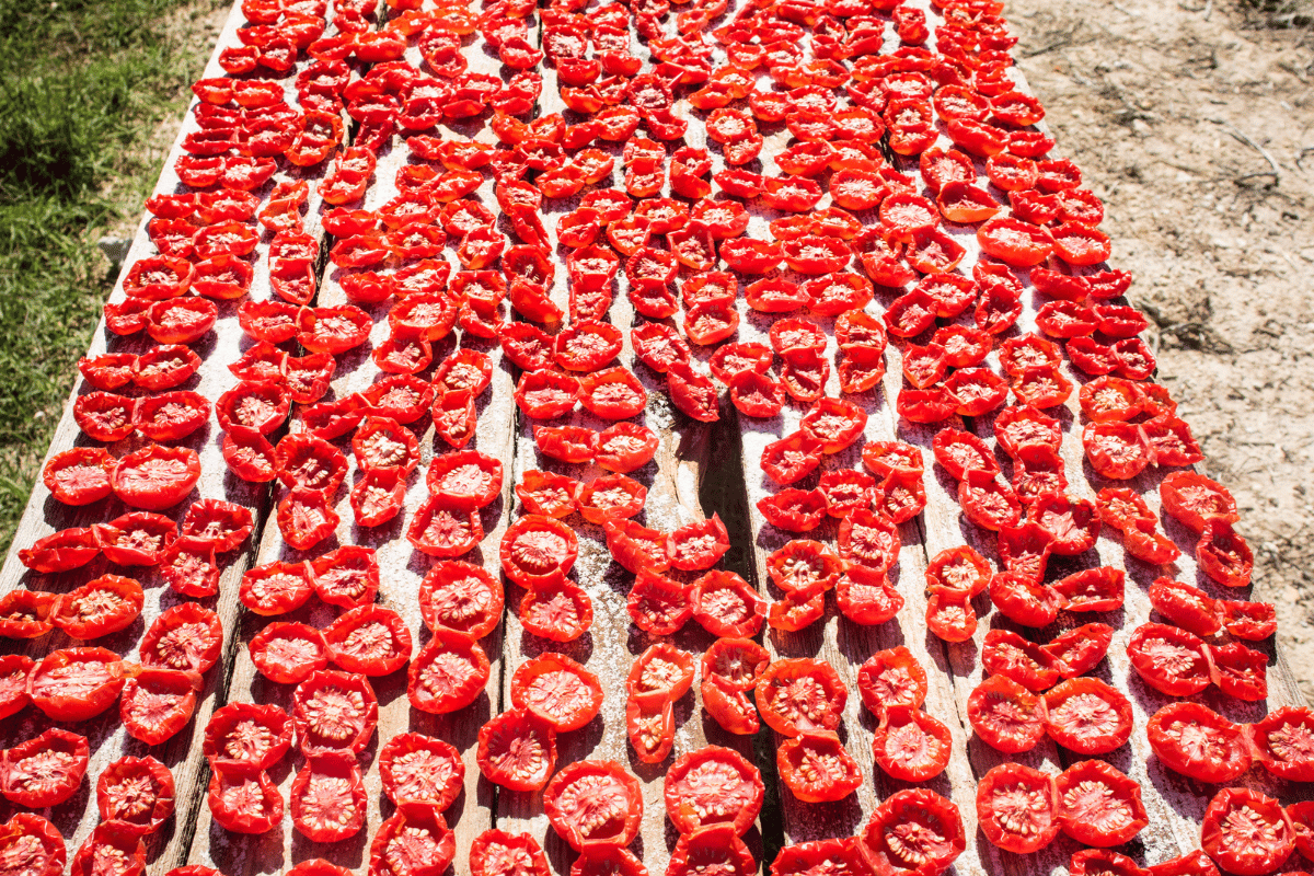 storia pomodori secchi sicilia