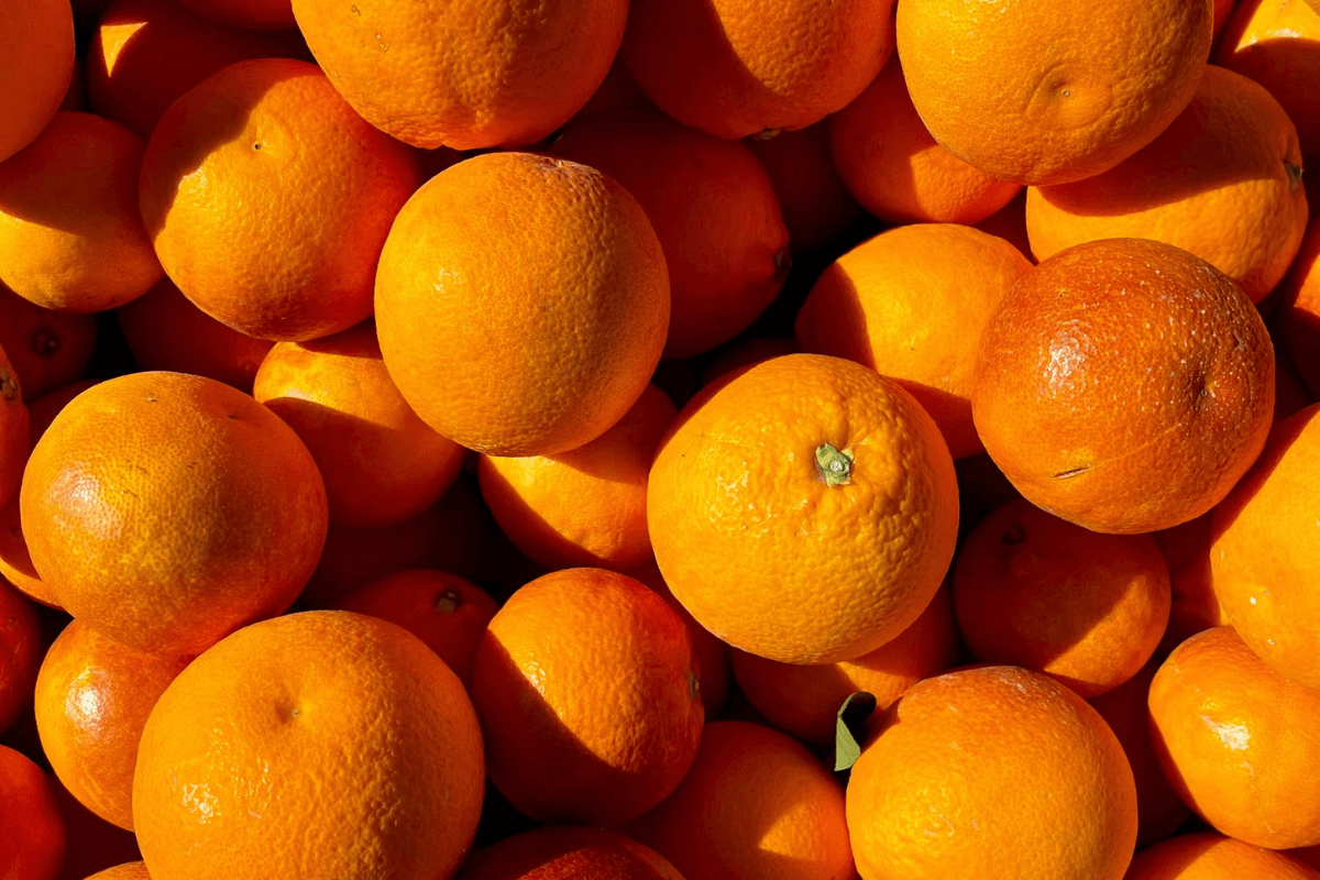 2 1 - I fiori dell'etna