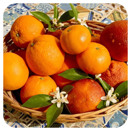 Progetto senza titolo - I fiori dell'etna